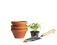 Garten & Pflanzen