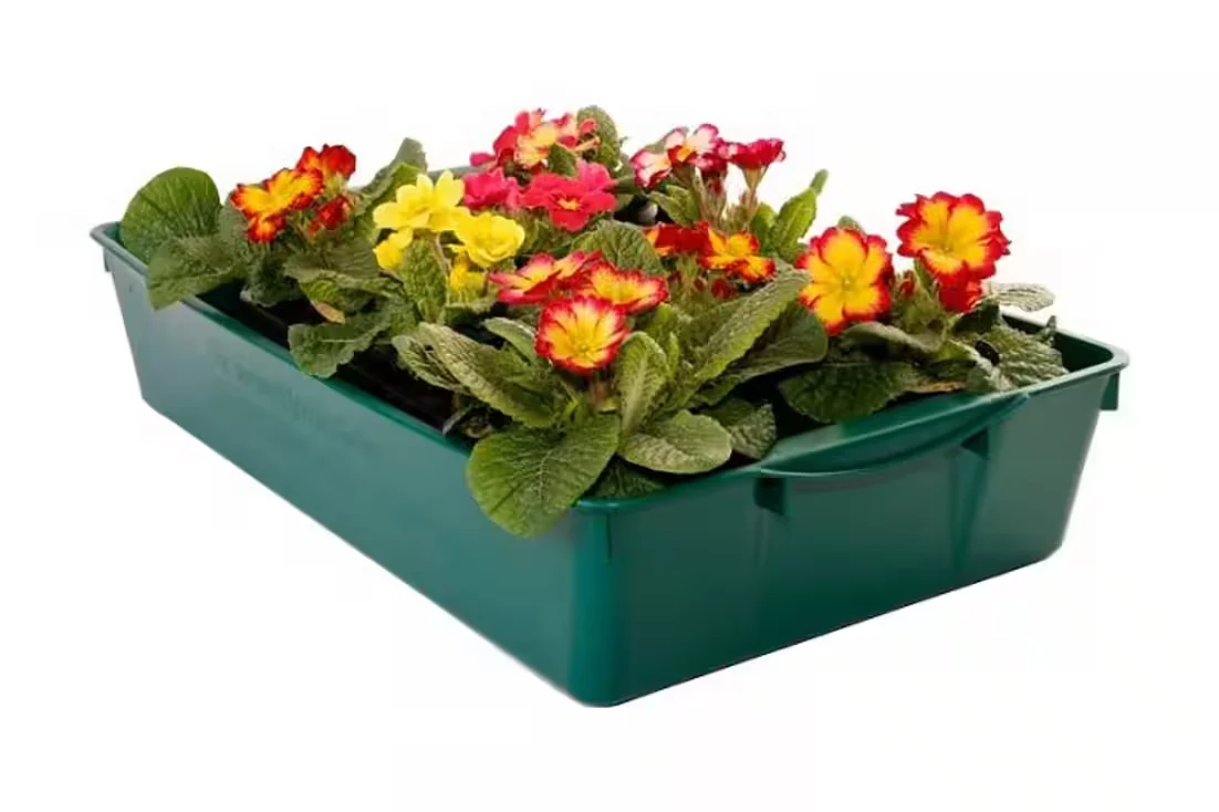 BURI Pflanzschale 58x32x11 cm grün Anzucht Pflanzwanne Profi