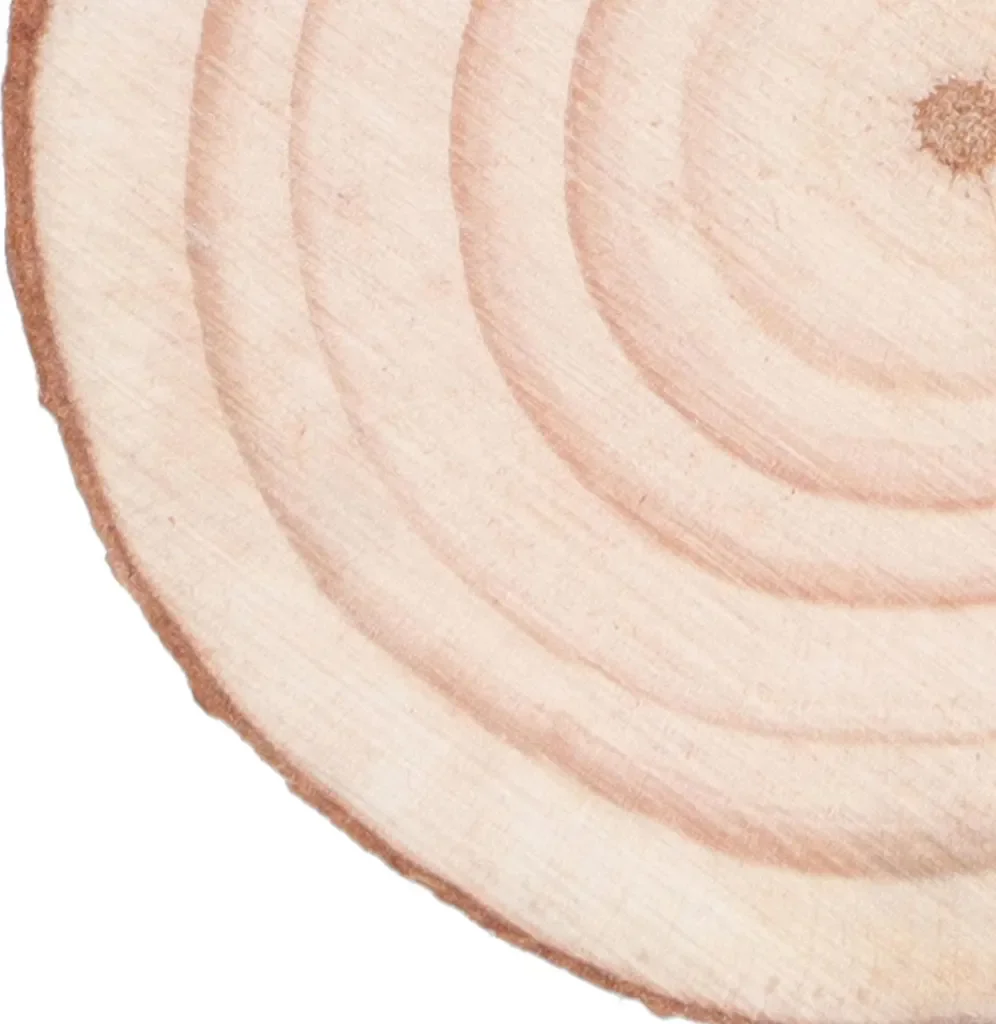 30 Stück Holzspäne zum Selbermachen, rein natürlich, kreatives Basteln, Malen, runde Kiefernkreise