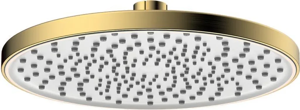 Avapax | Duschkopf Rund - 22,5 Cm - Gold Gebürstet - Abs Material - Runde Kollektion